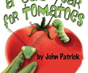 Next Production “A Bad Year For Tomatoes”